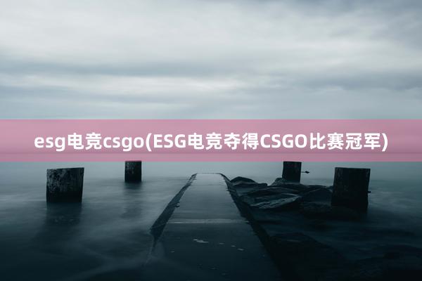 esg电竞csgo(ESG电竞夺得CSGO比赛冠军)